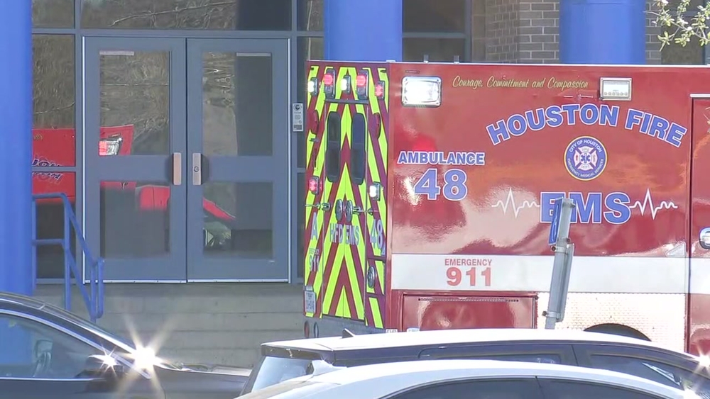 2 people shoot student with pellet gun near high school